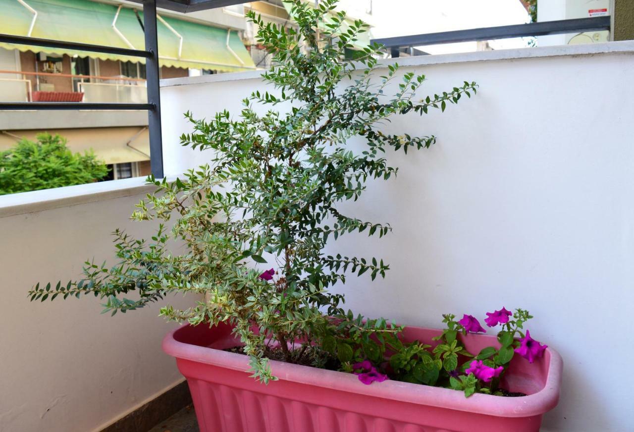 Cosy Studios 1 Close To The City Center 테살로니키 외부 사진